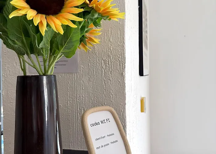 酒店 塔拉萨酒店 3*