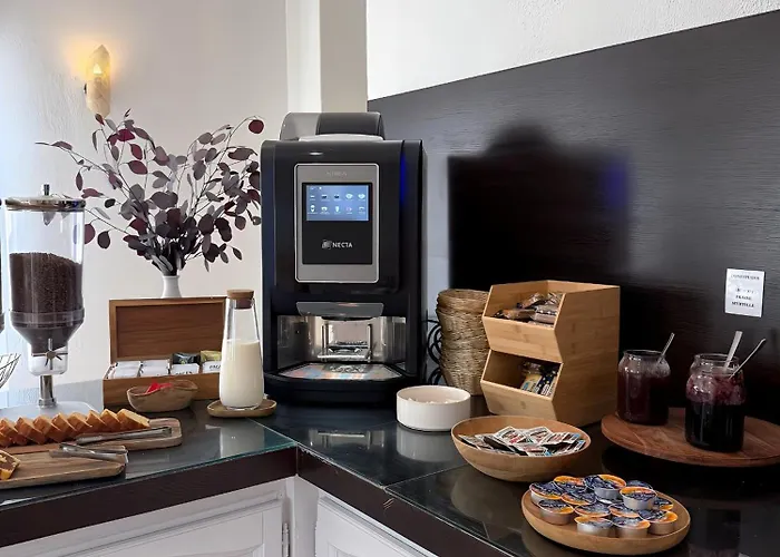 塔拉萨酒店 3* 圣弗洛朗